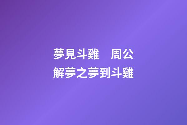 夢見斗雞　周公解夢之夢到斗雞